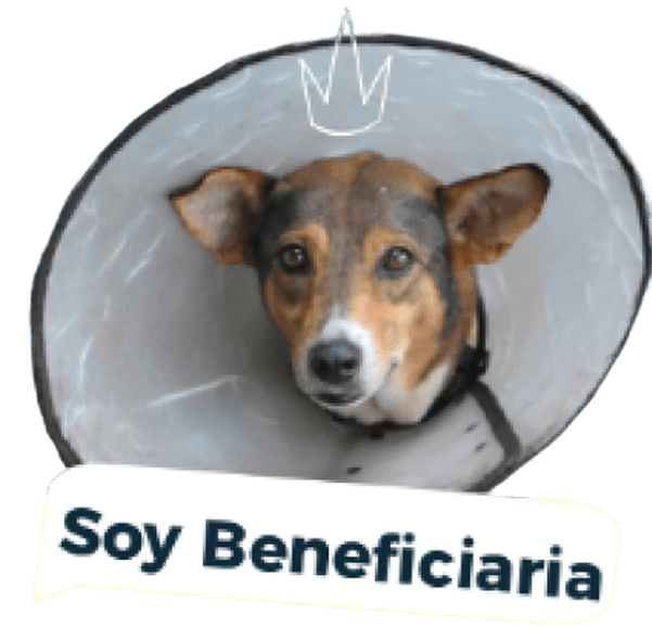 Soy Beneficiaria - Princesa